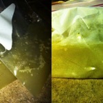 SCD Tip: Freeze Your Broth One Cup at a Time SCD Tip: Freeze Your Broth One Cup at a Time