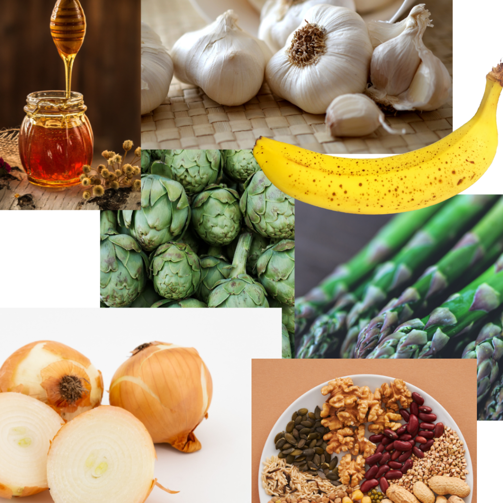 Images of SCD prebiotics foods