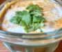 Creamy Yogurt Queso: A Flavorful SCD-Friendly Dip for All Occasions